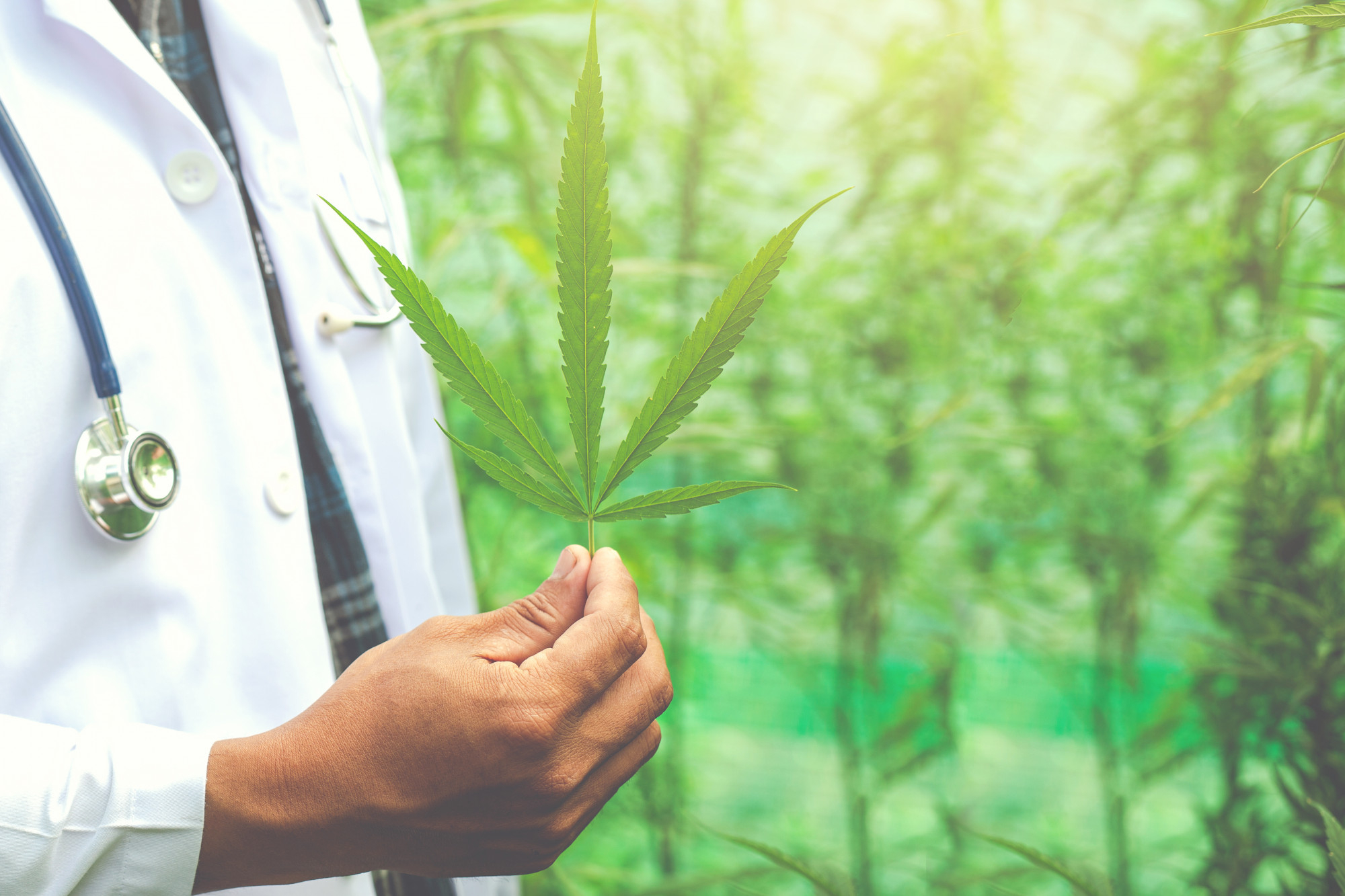 medical-marijuana-alternative-herbal-medicine-concept (1)